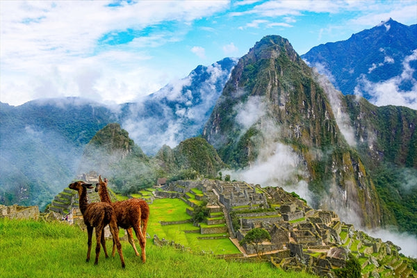 おいしい旅の記憶 #10 | 「マチュピチュ」だけじゃない。ペルーは、フュージョン・未知食材が奏でる美食の国。 ＜ペルー・クスコ前編＞